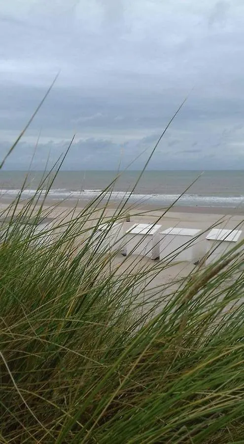 Holiday home Luxe Vakantiechalet Met Omheinde Tuin Bredene 6Pers Belgium